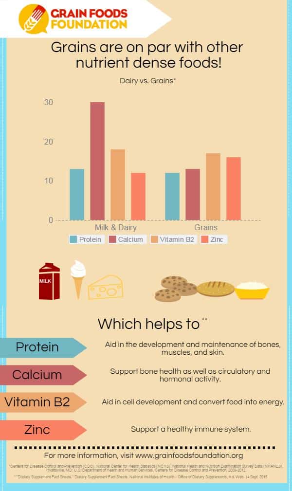 Dairy vs Grains Comparison Infographic