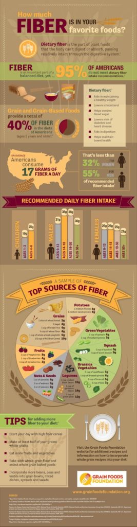 How much fiber is in foods infographic