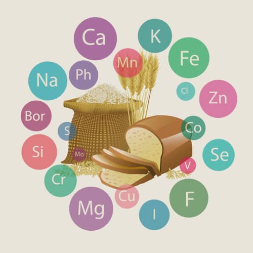 Nutritional Value of Grains Questions and Answers