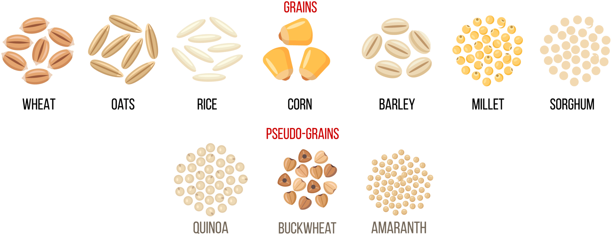 What is a Grain Food? Grain Foods Foundation