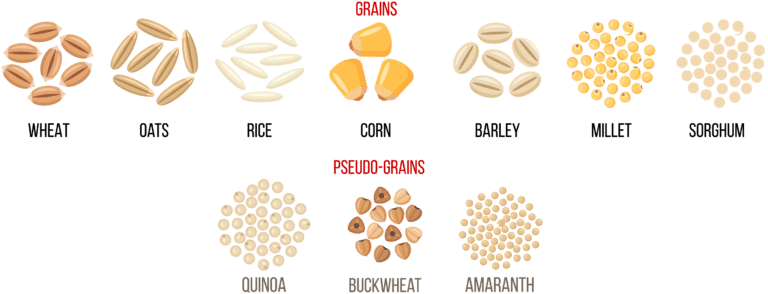 What is a Grain Food? - Grain Foods Foundation