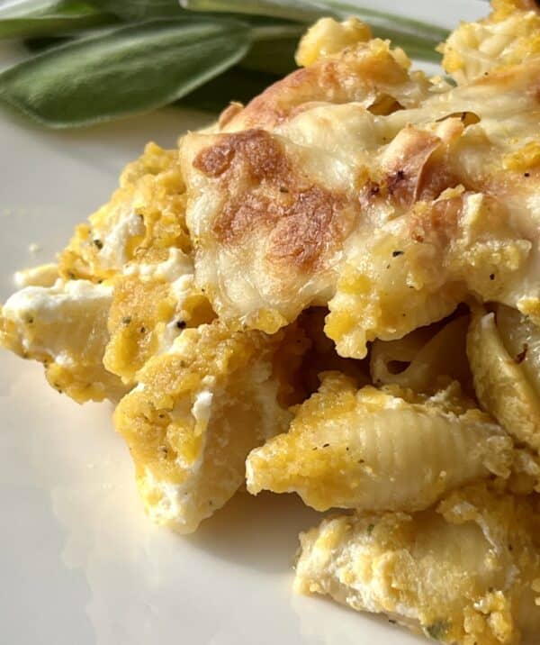 Butternut Squash Pasta Bake