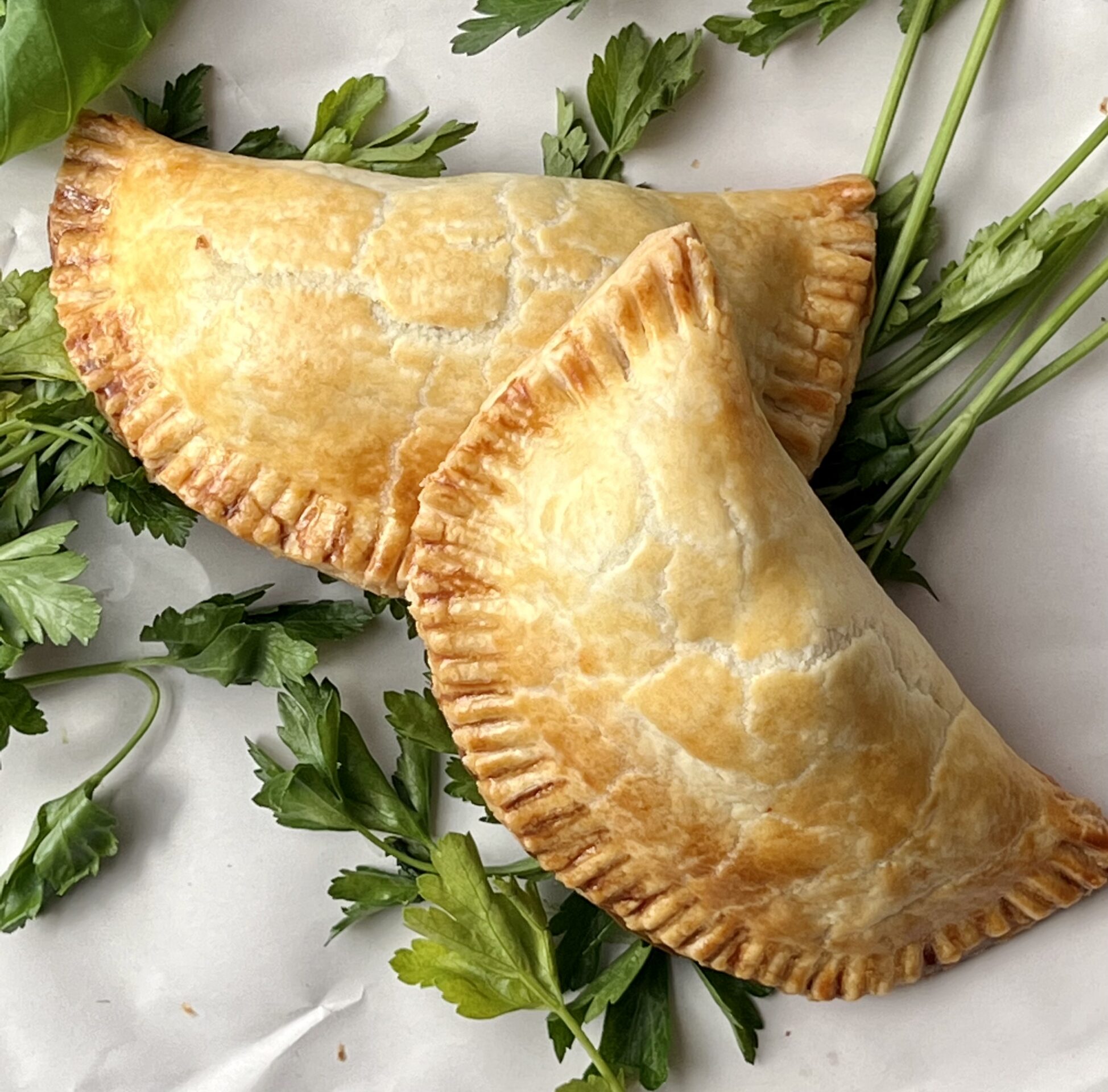 Salmon Empanadas